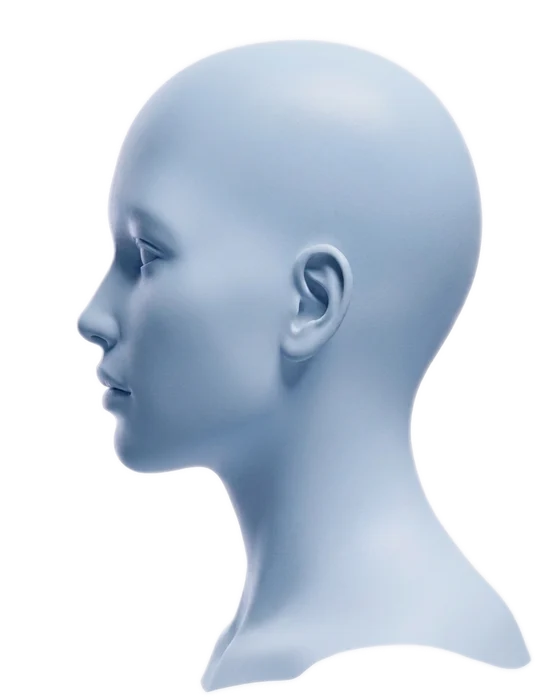 A side profile photograph