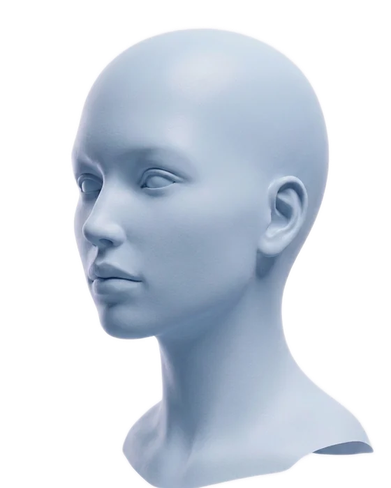 A face with landmarks and curves being placed